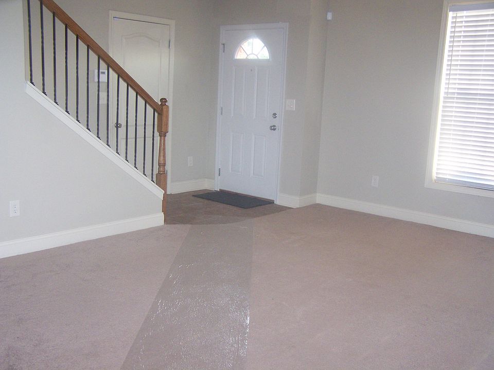 Living Room and Foryer