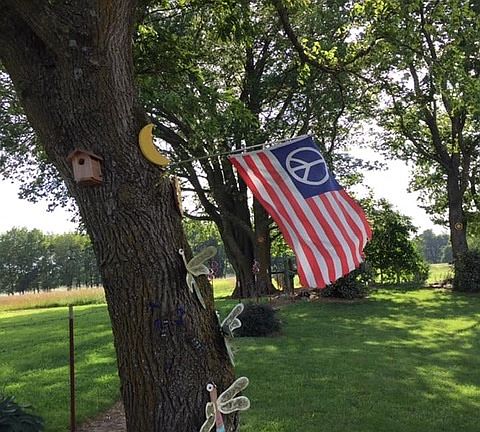 Backyard to the west