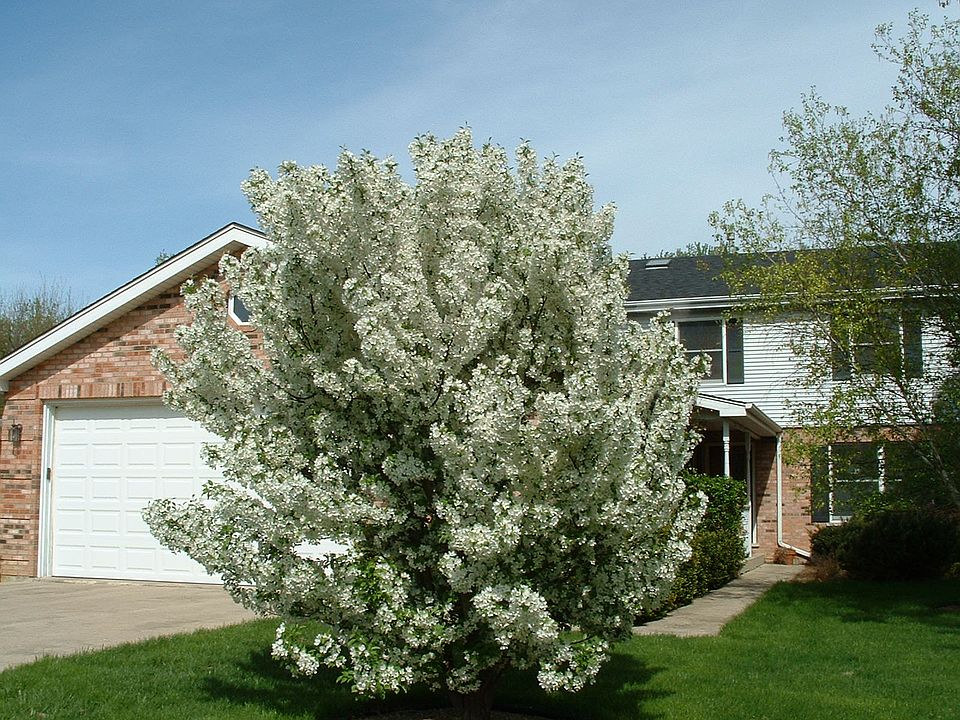 1st image of 1N537 Goodrich Ave