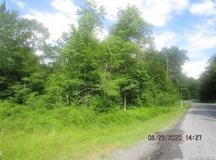 122 Pine Tree Rd, Glen Wild, NY 12738