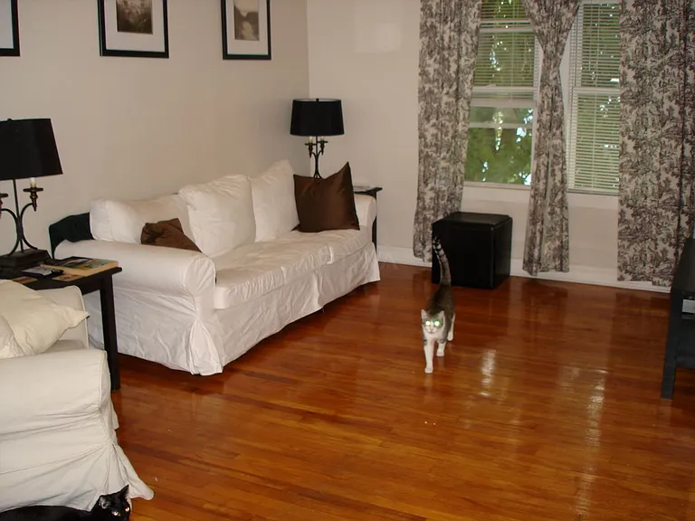 48 Orchard St #2 — Photo 10