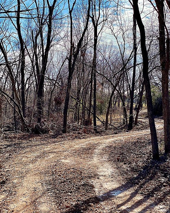 1st image of Healing Springs Dr #1