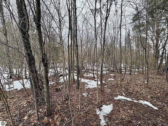2nd image of 0 Cedar River Rd