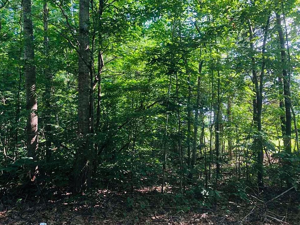 2nd image of 986 Subtle Garrett Creek Rd