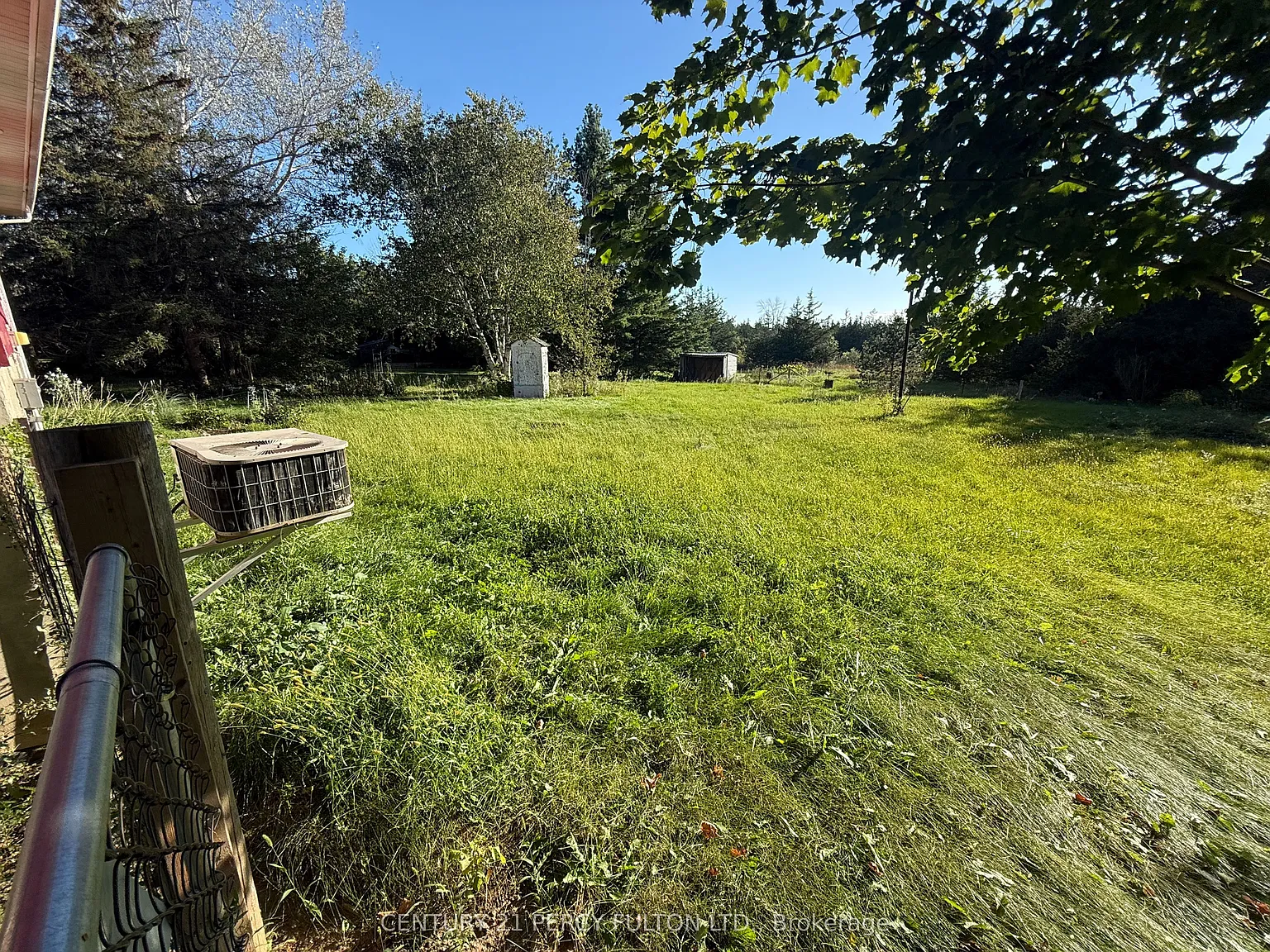 4 bed, $2,000 — Photo 3