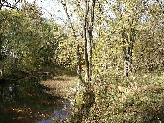 4th image of 1870 Highway 467 E