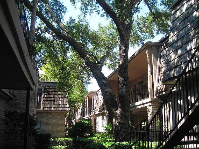 Courtyards with Majestic Oak Trees