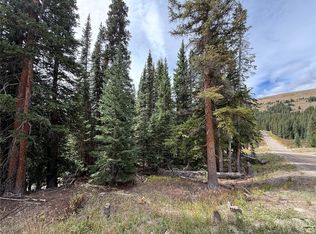 244 Camron Lane, Breckenridge, CO 80424