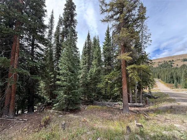 244 Camron Lane, Breckenridge, CO 80424