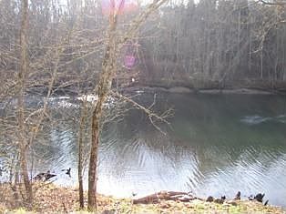 1st image of 400 Lovely Bluff Rd