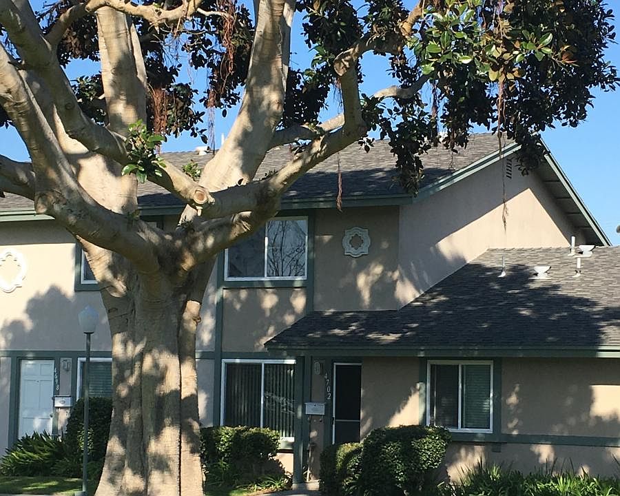 Facing Beautiful Tree/Green Area