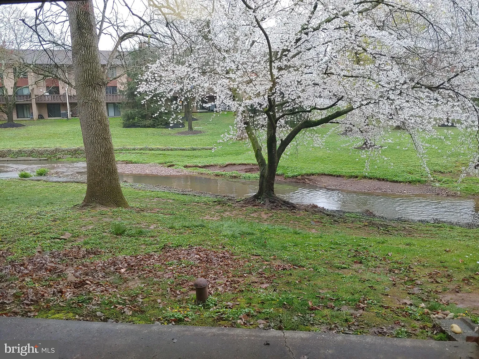 Stonybrook Condo — Photo 4
