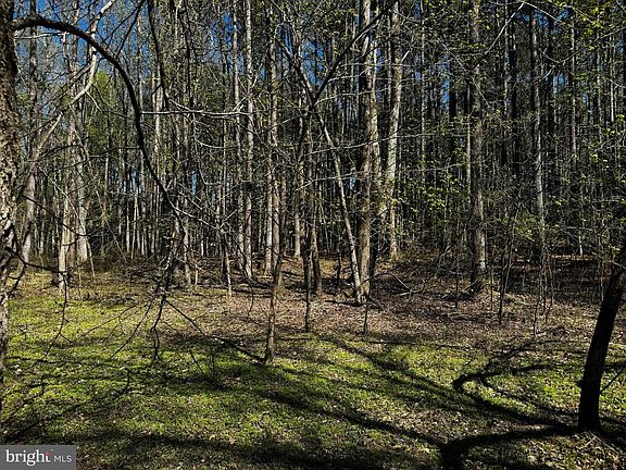 2nd image of 0 Public Landing Rd