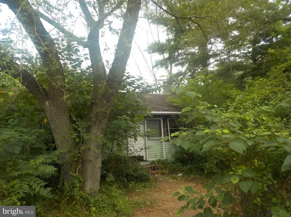 36788-3 Bridges Rd, Willards, MD 21874