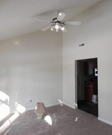 Living Room vaulted ceiling