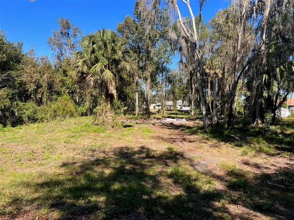 County Road 467 Lot 7-10, Lake Panasoffkee, FL 33538