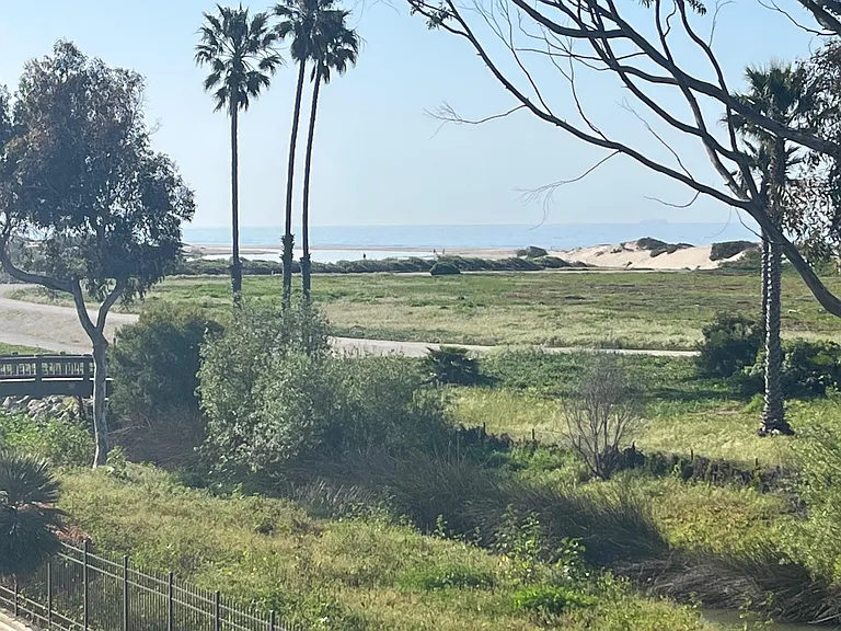 View from Patio