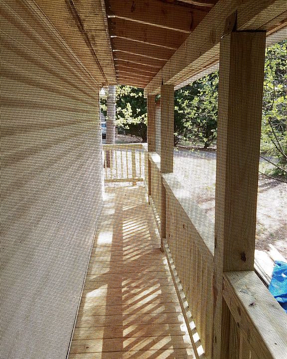 Covered back walkway 2020