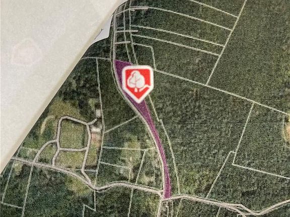 3rd image of Red Hill Road