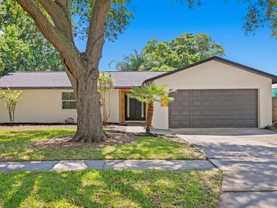 1242 Dinner Bell Ln E, Dunedin, FL, 34698