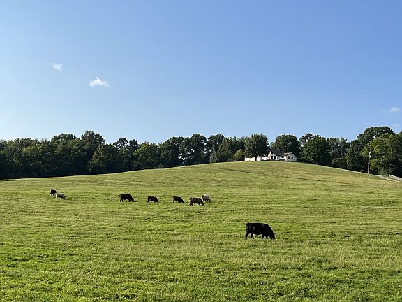 84th image of 2202 Darks Mill Rd