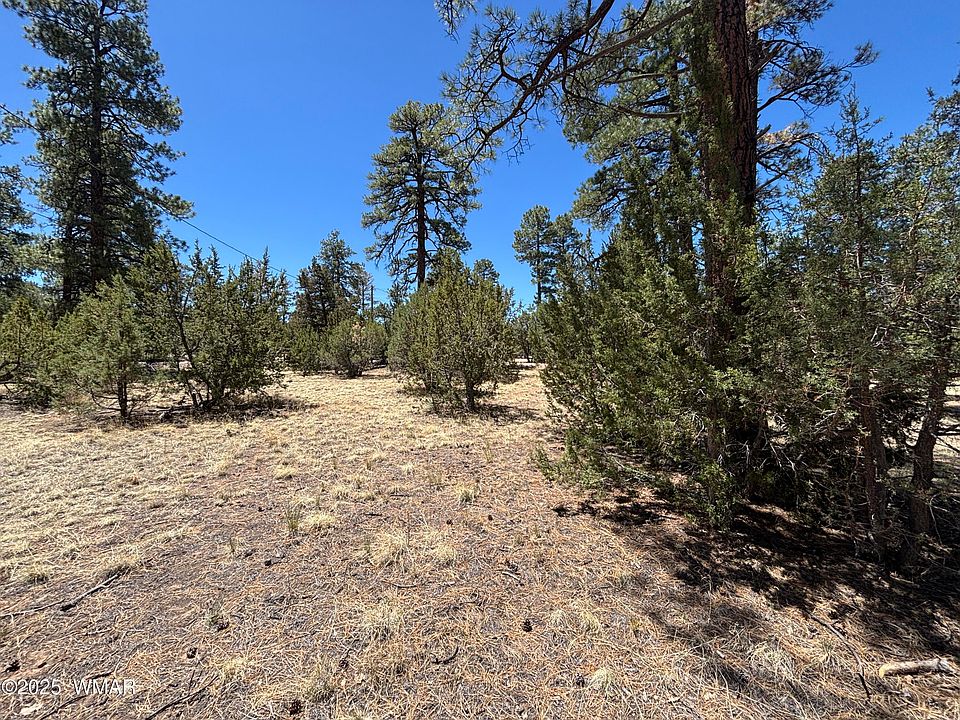 2nd image of Between 2901 & 2905 Pine Rim Rd