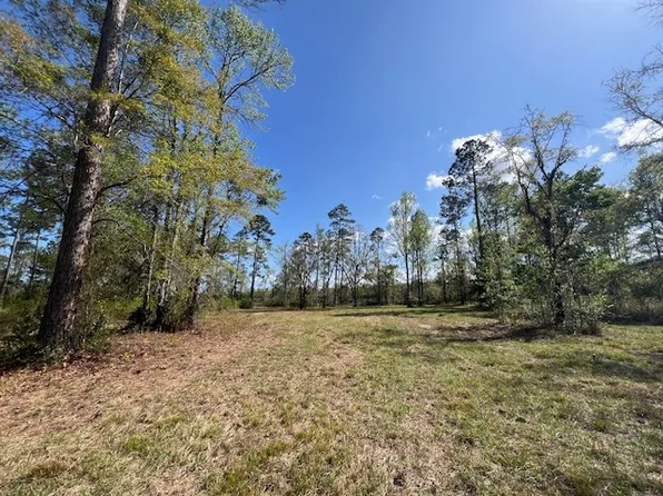 437 Salt Creek Way E, Brunswick, GA 31523