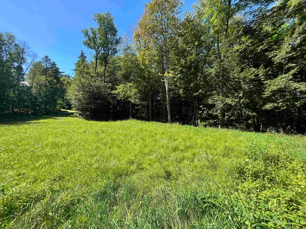 00 Berry Patch Lane, Ludlow, VT 05149