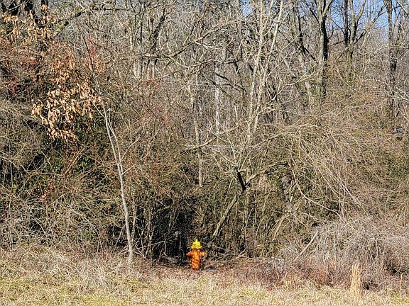 4th image of 0 N Lee Hwy