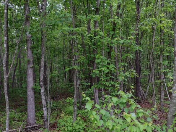 215 Quail Dr Lot 4, Altamont, TN 37301