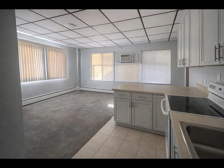 10006 S Kedzie Ave #1 — Photo 2