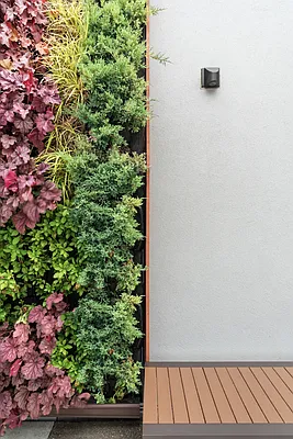 Sold by MNS | media 19