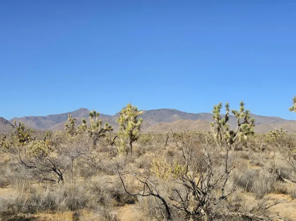 2358 S Cattle Crossing Rd, Yucca, AZ 86438