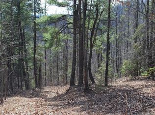 165 W Splitrail Dr #6, Hendersonville, NC 28792