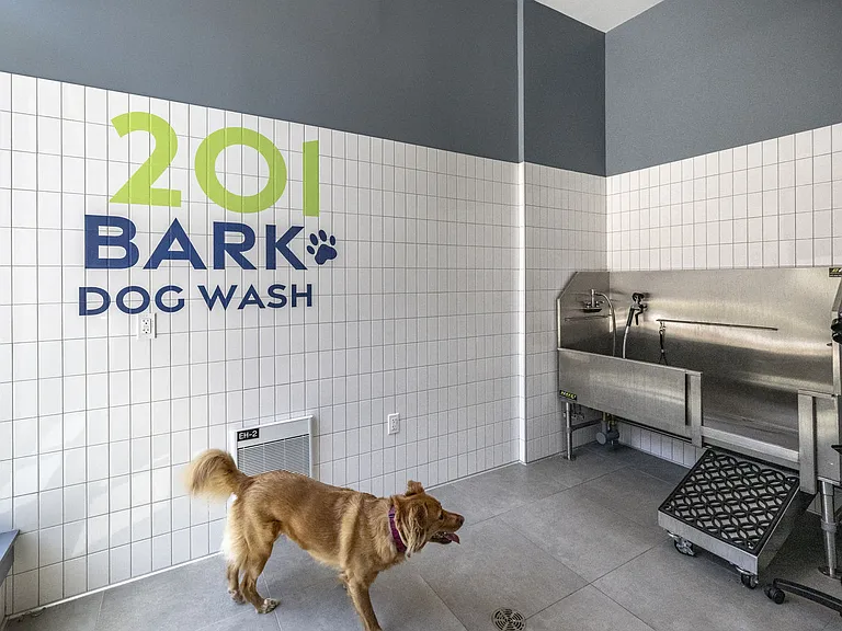 201 Bark Dog Wash with Dog.