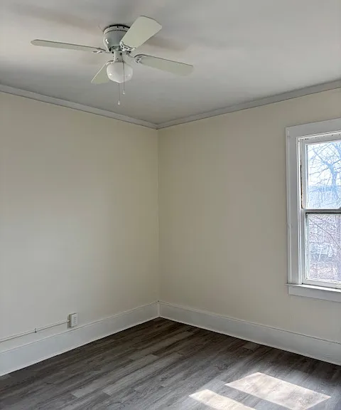 2285 Cortland St — Photo 10