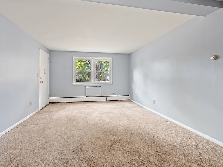 74A Orchard St #4 — Photo 5