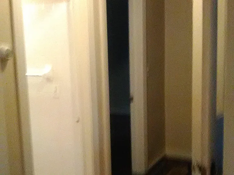 Hallway from Living Room to main floor Bedroom.