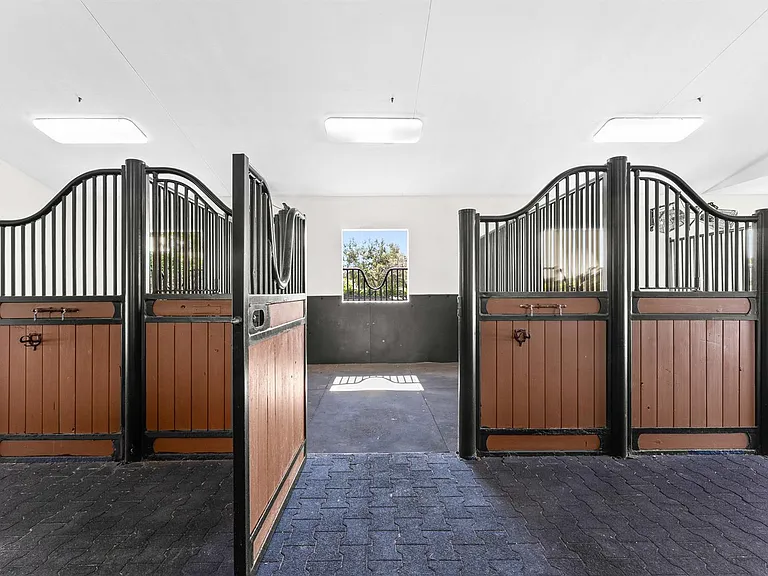 14628 Draft Horse Ln — Photo 5