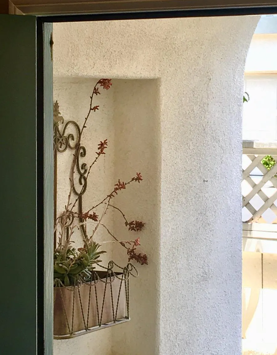 613 Sweet Pea Pl — Photo 3