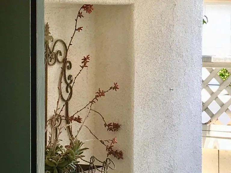 Home door