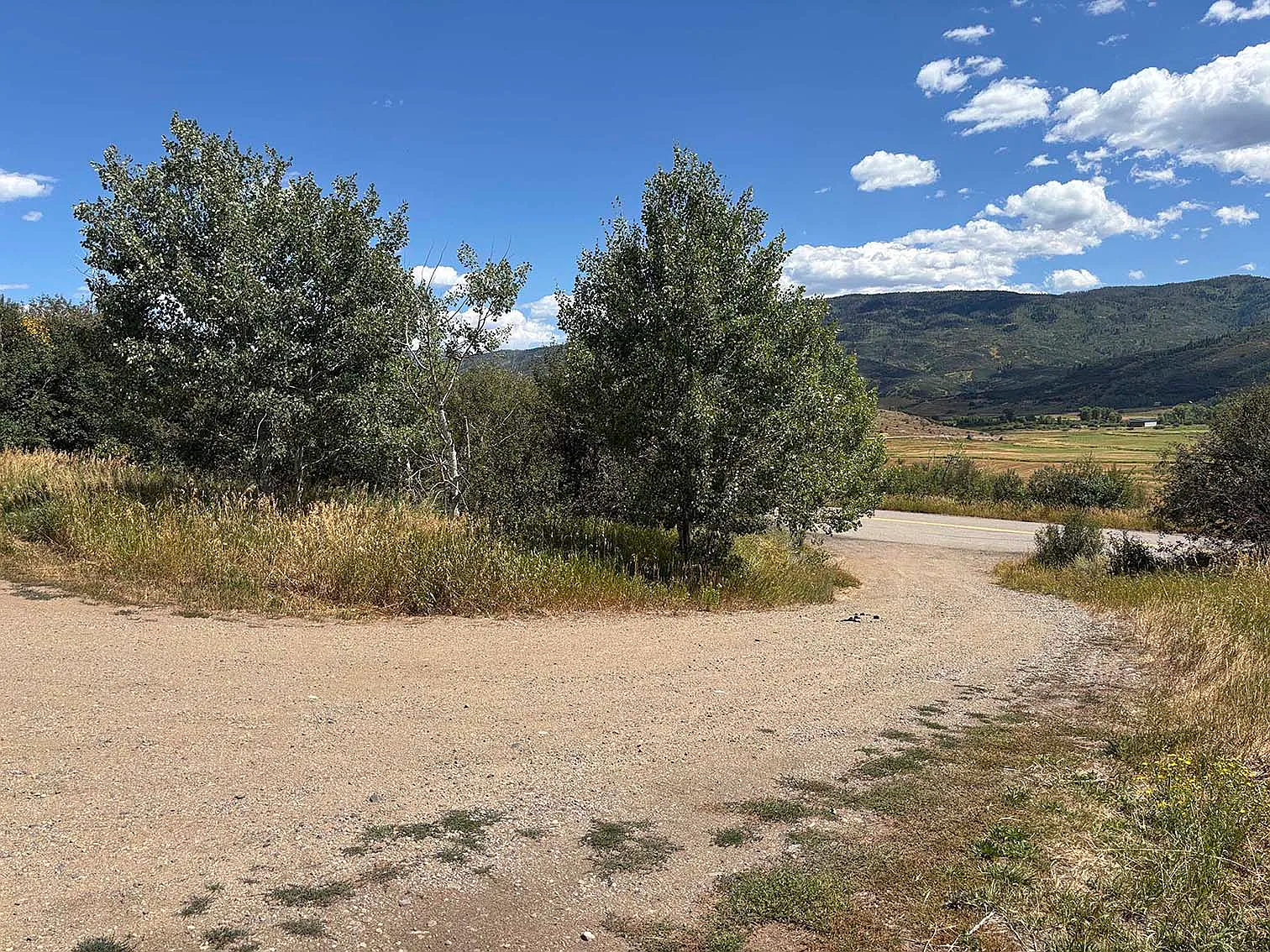 3 bed, 1680 sqft, $3,100 — Photo 4