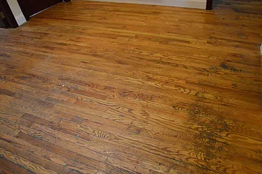 Rented by CoSo Apartments