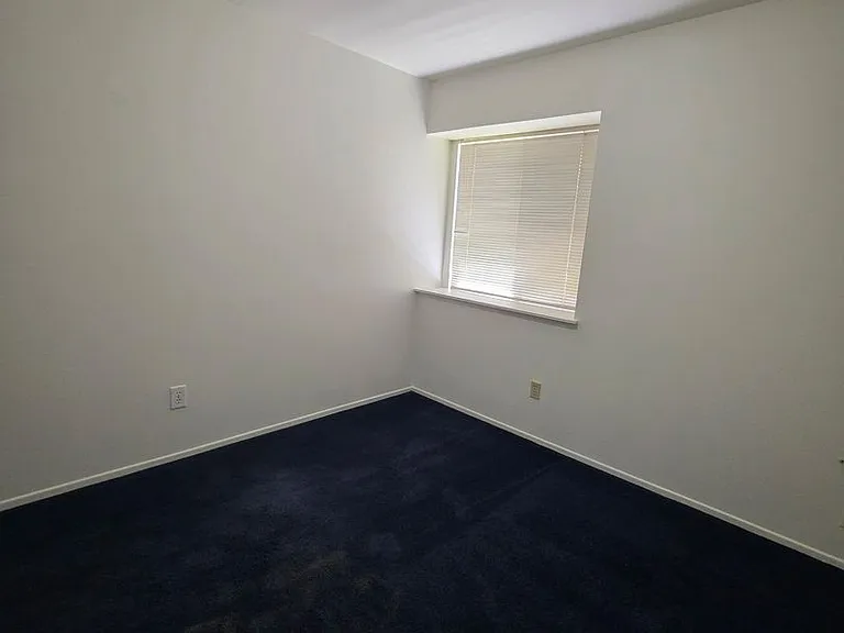 6508 Pine Borough Ct — Photo 11