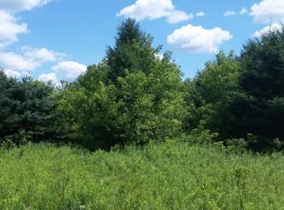 0 Young Rd, Bellevue, MI 49021