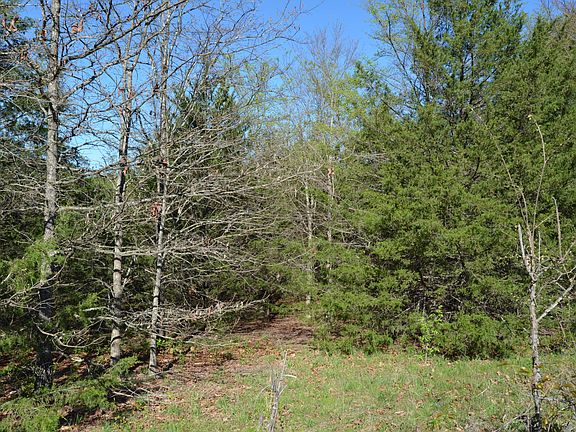 4th image of 000 Persimmon Hill Lane