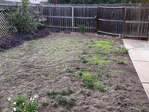 2nd image of 319 Pecan Creek Dr