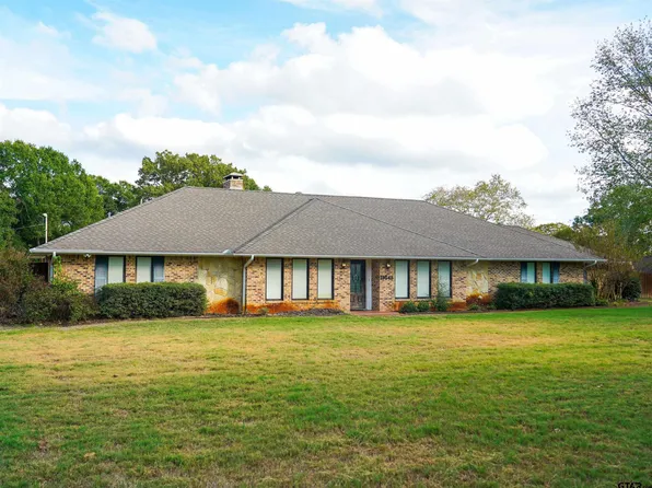 19545 Norfolk Dr, Flint, TX 75762
