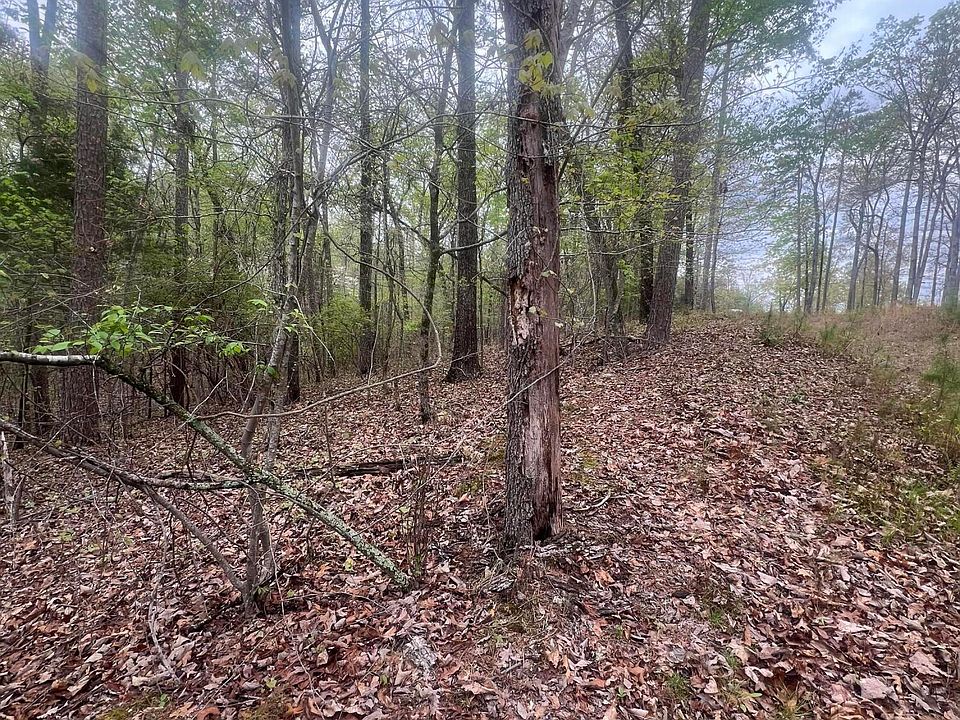 2nd image of 11734 Armstrong Rd