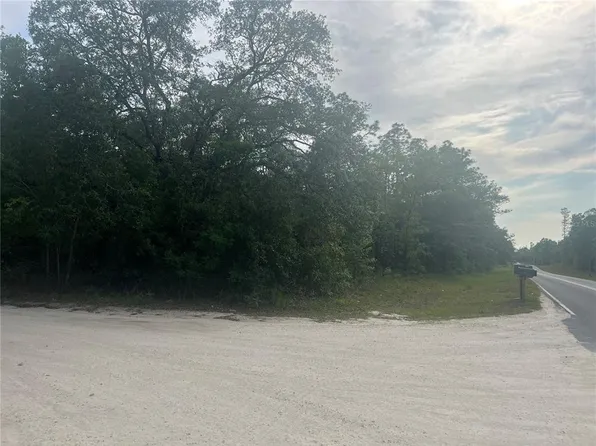 Tbd Ne 102nd Ct, Bronson, FL 32621